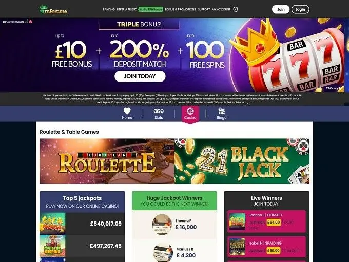 mFortune_Mobile_Casino_25.11.2022._hp (1)