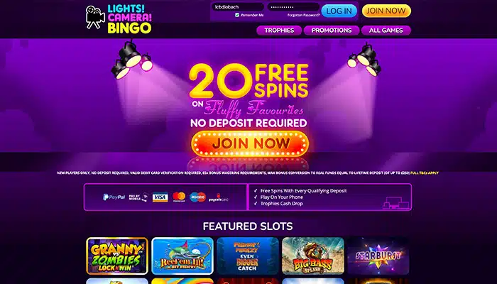 lights camera bingo homepage